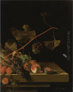 Still Life Of A Vine Twig With Grapes, Peaches, Apricots, Medlars, A Melon And A Halved Fig, Resting On A Stone Ledge by Adriaen Coorte