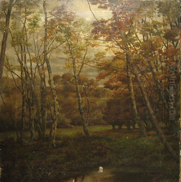 Bosgezicht. - view 1