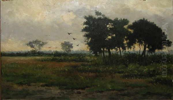 Landschap - view 1