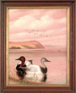 Ducks Off Of Turkey Pointe by George Cope