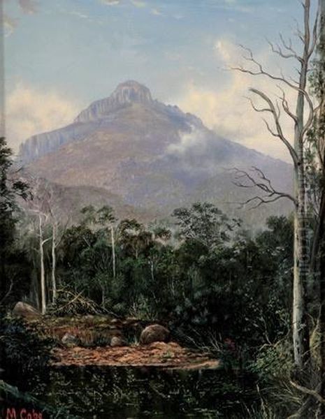 Mount Byron, Tasmania - view 1