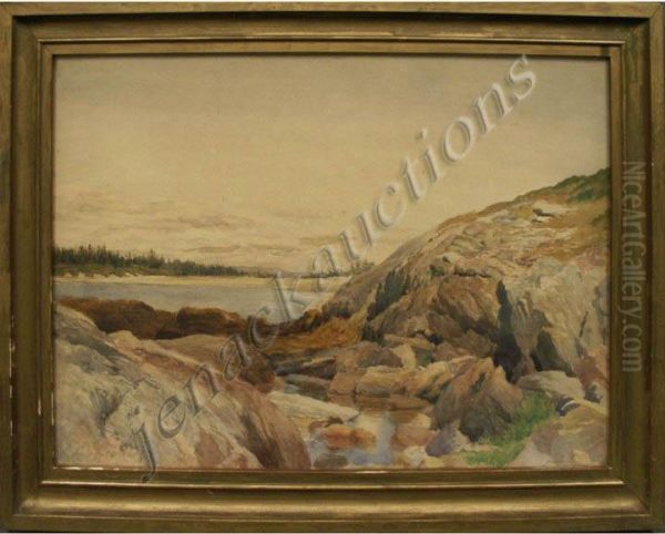 Coastal Landscape - view 1