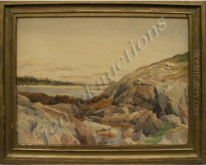Coastal Landscape Coastal Landscape