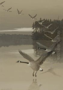Geese In Flight Geese In Flight