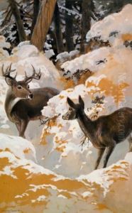 Deer In A Winter Forest Deer In A Winter Forest