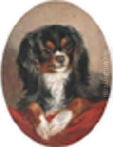 Acavalier King Charles Spaniel On A Red Cushion by Louisa Corbaux