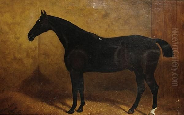 A Portrait Of 'black Jack' - view 1