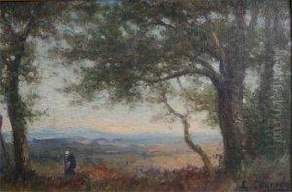 Paysage - view 1