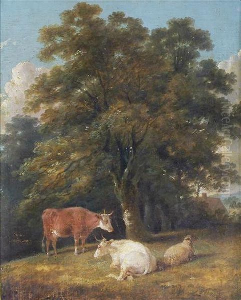 Cattle Andsheep Resting Beneath A Tree - view 1