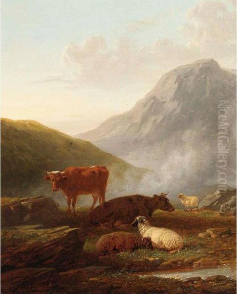 Highland Cattle - view 1