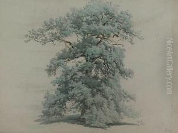 Baumstudie - view 1