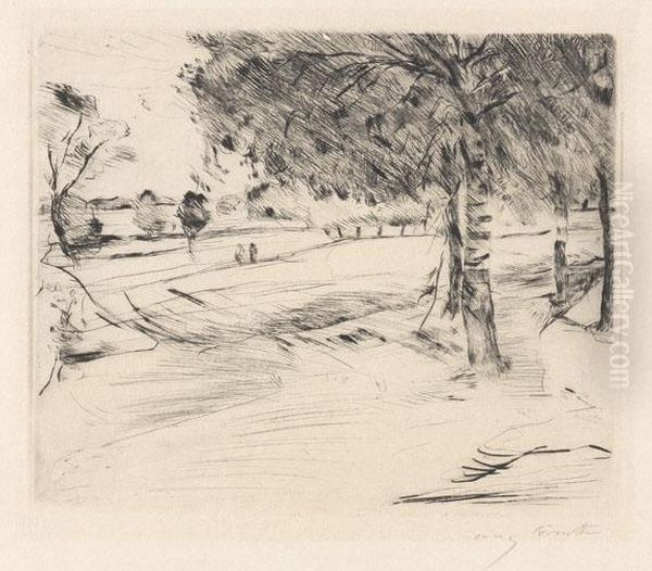Landschaft - view 1