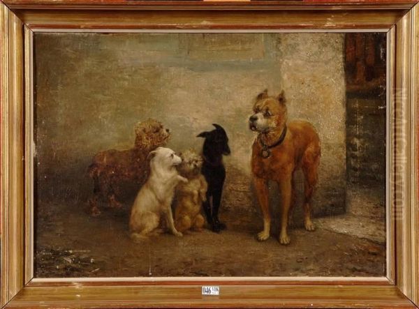 Jeu De Chiens - view 1