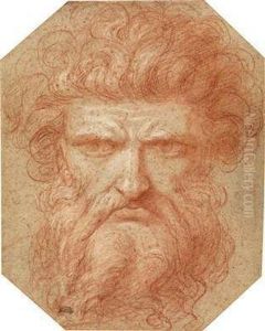 A Head Of A Bearded Man by Michel I Corneille