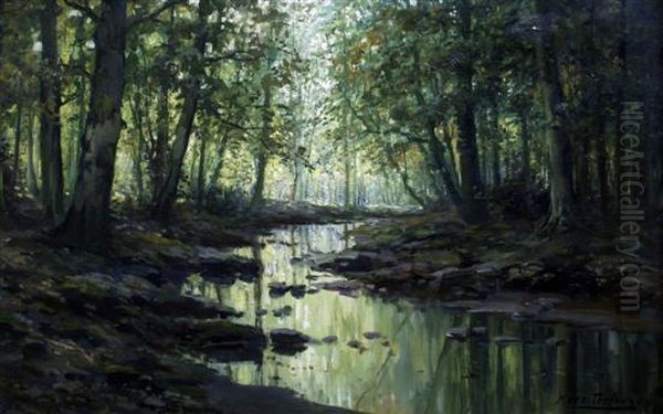 Sunlight Through The Trees - view 1
