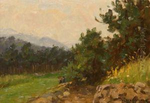Paesaggio by Duilio Corompai