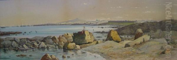 Vista De La Ciudad De Montevideo Y Cerro - view 1