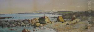Vista De La Ciudad De Montevideo Y Cerro by Carlos Corsetti