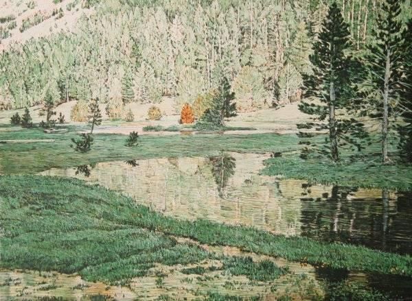 Pinte Meadow - view 1