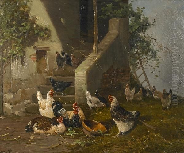 Roosters In A Farmyard - view 1