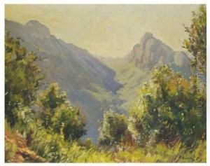 Paisaje Paisaje