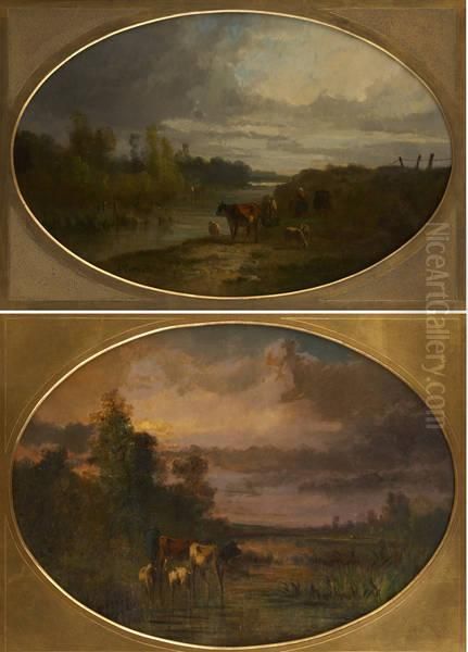 Troupeaux Aucoucher Et Lever Du Soleil - view 1