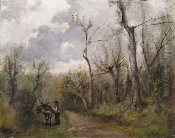 Il Boscaiolo - view 1