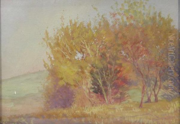 Autumn - view 1
