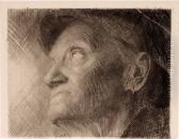 "bauer" - view 1