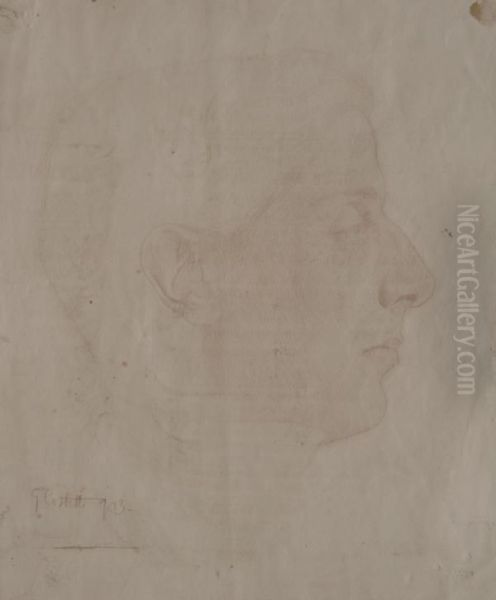 Profilo Virile - view 1