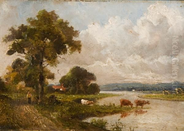 Cattle Watering By A River - view 1