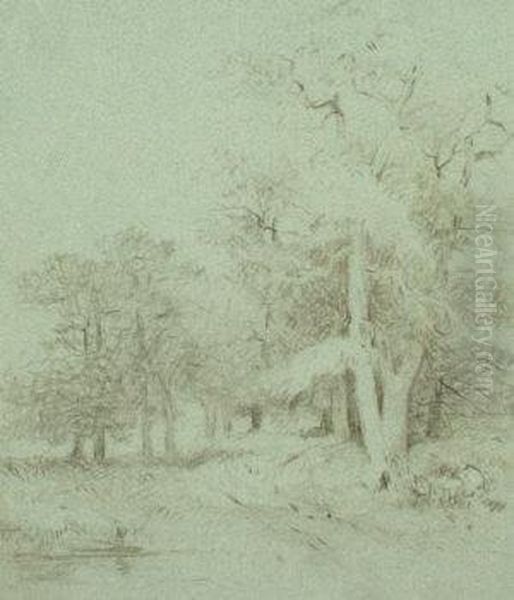Wooded Landscape - view 1