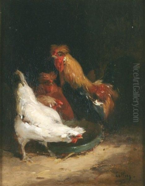  Poules De Houdan  - view 1