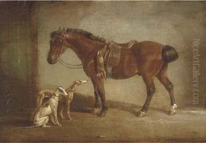 A Saddled Pony With Two Hounds