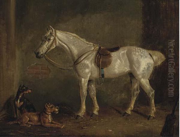 A Saddled Grey With Terriers In A Stable - view 1