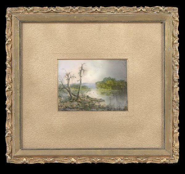 Louisiana Bayou Landscape At Sunset - view 1