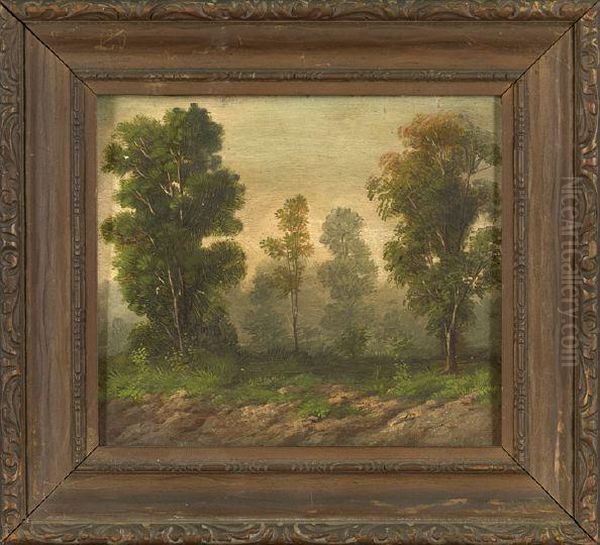 "woodedlandscape" - view 1