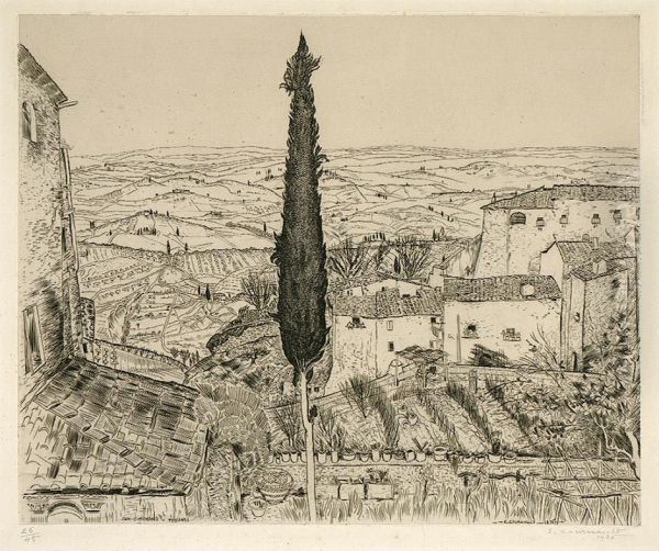 San Gimignano - view 1