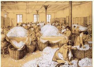 Grasse, La Cite Des Parfums. Triage De Roses Dans Une Usine De Parfums by Etienne Cournault