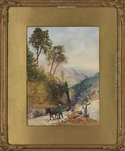 View In Chile With Workers And A Donkey - view 1