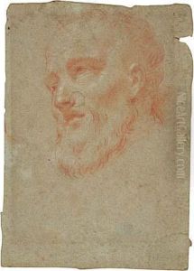 Study For The Head Of Filippo Neri
