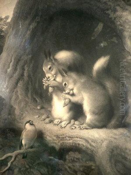 Squirrels - view 1