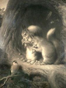 Squirrels