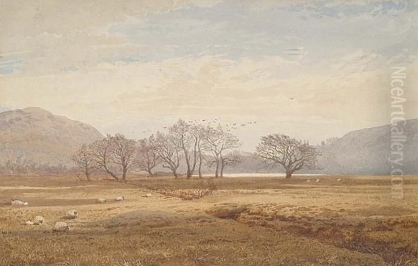 Rural Landscape, Possibly Wales - view 1