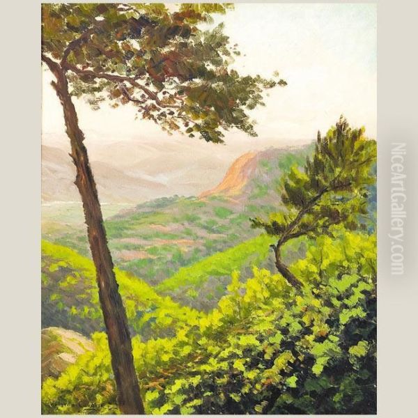 Paisaje - view 1
