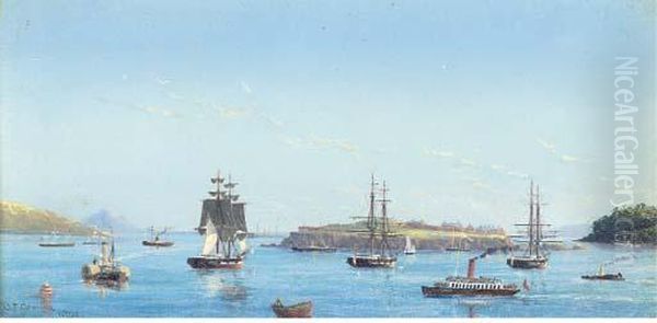 Shipping In Plymouth Sound - view 1
