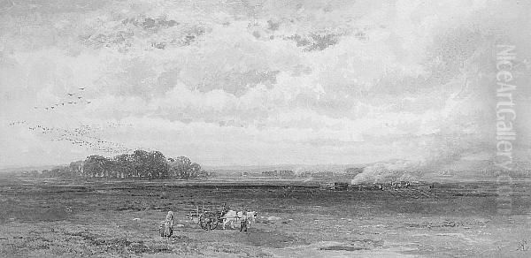 Peat Burning - view 1