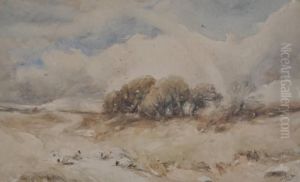 Sheep In Extensive Landscape With A Rainbow Above by David I Cox