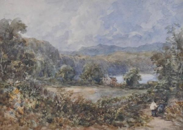 Figure On A Track Near A Lakeside Cottage - view 1