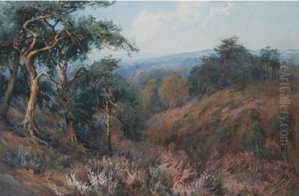 Rural Landscape With Trees - view 1